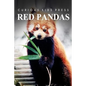 Red Pandas - Curious Kids Press: Kids book about animals and wildlife, Children's books 4-6 - Paperback