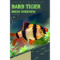 Barb Tiger: From Novice to Expert. Comprehensive Aquarium Fish Guide - Paperback