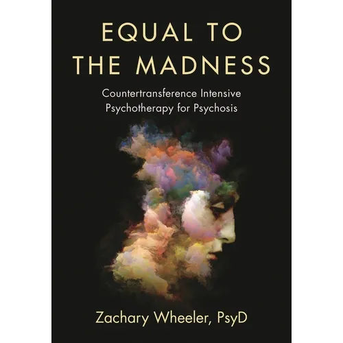 Equal to the Madness: Countertransference Intensive Psychotherapy for Psychosis - Paperback
