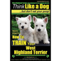 West Highland Terrier, West Highland Terrier Training AAA AKC: Think Like a Dog, But Don't Eat Your Poop!: Here's EXACTLY How To Train Your West Highl - Paperback