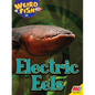 Electric Eels - Paperback