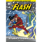 The Flash and the Storm of the Century - Hardcover