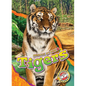 Tigers - Library Binding
