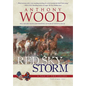 Red Sky Storm: A Story of the Civil War - Hardcover