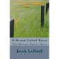 A Dream Called Texas: The Metzger Family Story - Paperback
