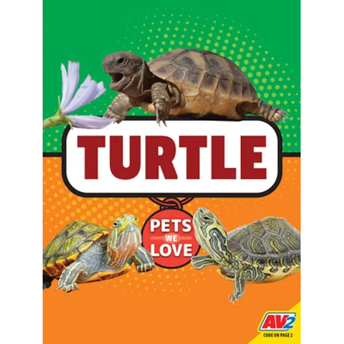 Turtle - Library Binding