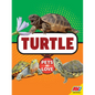 Turtle - Library Binding