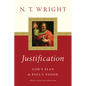 Justification: God's Plan Paul's Vision - Paperback