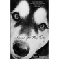 Stories for My Dog - Paperback