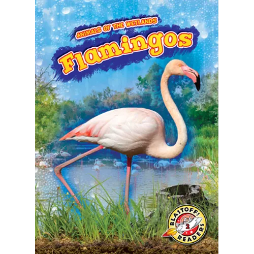 Flamingos - Library Binding