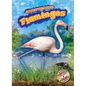Flamingos - Library Binding