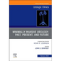 Minimally Invasive Urology: Past, Present, and Future, an Issue of Urologic Clinics: Volume 49-1 - Hardcover