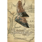 The Detroit Shoemaker - Paperback