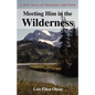 Meeting Him in the Wilderness: A True Story of Adventure and Faith - Paperback