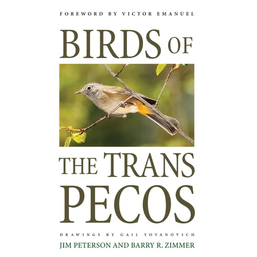 Birds of the Trans-Pecos - Paperback