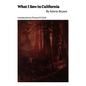 What I Saw in California - Paperback