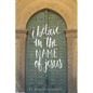 I Believe in the Name of Jesus: Knowing Jesus Through His Seven "I Am" Statements - Paperback