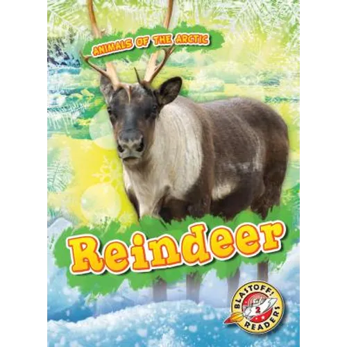 Reindeer - Library Binding