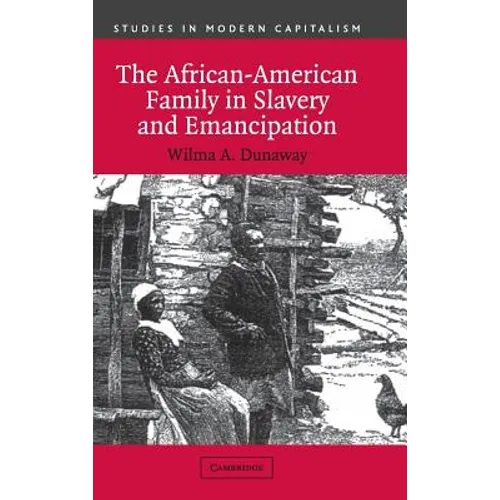 The African-American Family in Slavery and Emancipation - Hardcover