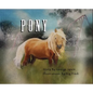 Pony - Hardcover