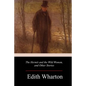 The Hermit and the Wild Woman, and Other Stories - Paperback