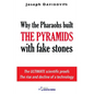 Why the Pharaohs Built the Pyramids with Fake Stones - Paperback