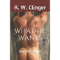 What He Wants: Gay Erotic Stories - Paperback
