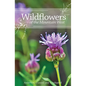 Wildflowers of the Mountain West: Volume 1 - Spiral