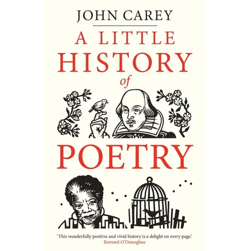 A Little History of Poetry - Hardcover