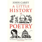 A Little History of Poetry - Hardcover