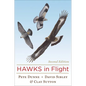 Hawks in Flight - Hardcover