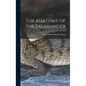 The Anatomy of the Salamander - Hardcover