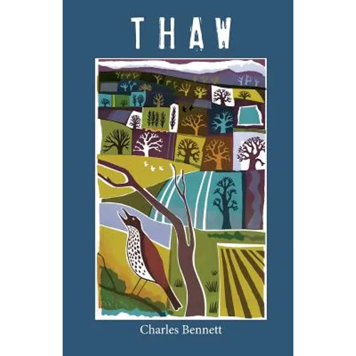 Thaw - Paperback