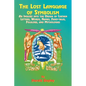 The Lost Language of Symbolism: An Inquiry Into the Origin of Certain Letters, Words, Names, Fairy-Tales, Folklore, and Mythologies - Paperback