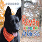 Raven Goes To Arkansas - Paperback