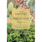 From Orphan to Greatness: An African Story - Paperback