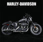 MAISTO™ Harley-Davidson 1:12 Scale Alloy Motorcycle Model