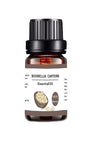 10ML Aromatherapy Water Soluble Essential Oil Plant Diffuse