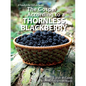 The Gospel According to a Blackberry - Paperback