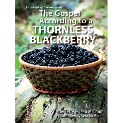 The Gospel According to a Blackberry - Paperback