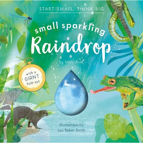 Small Sparkling Raindrop (Start Small, Think Big #5) - Hardcover