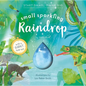 Small Sparkling Raindrop (Start Small, Think Big #5) - Hardcover