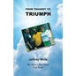 From Tragdey to Triumph - Paperback