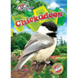 Chickadees - Library Binding