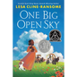 One Big Open Sky - Hardcover
