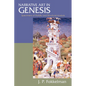 Narrative Art in Genesis - Paperback