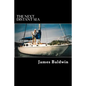 The Next Distant Sea: The 28-foot Sailboat Atom Continues Her Second Circumnavigation - Paperback