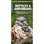 Reptiles & Amphibians: An Introduction to Familiar North American Species