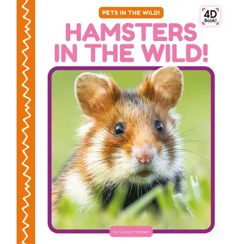 Hamsters in the Wild! - Library Binding