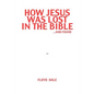 How Jesus Was Lost In The Bible ...And Found - Paperback